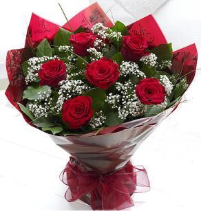 6 Red Roses